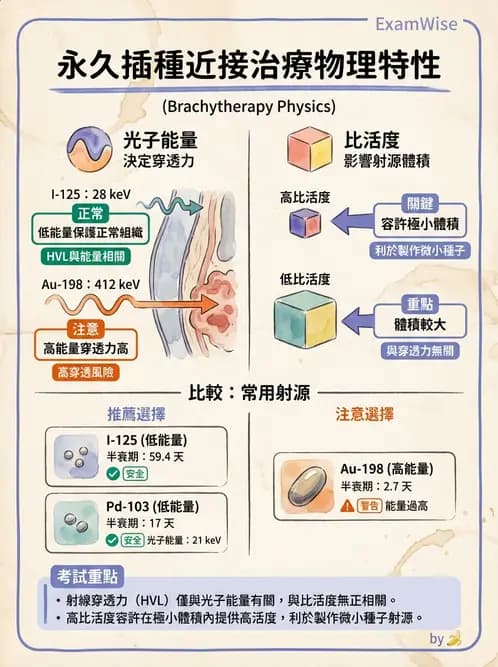 放射 - 插種近接治療 - AI 圖文解析預覽