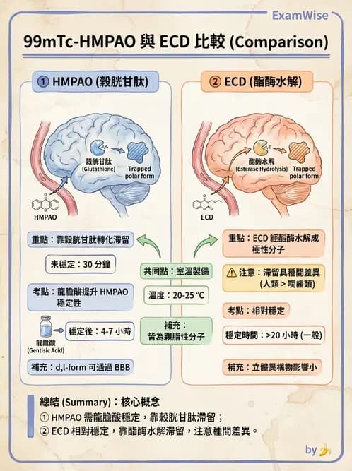放射 - 腦部造影SPECT藥物 - AI 圖文解析預覽