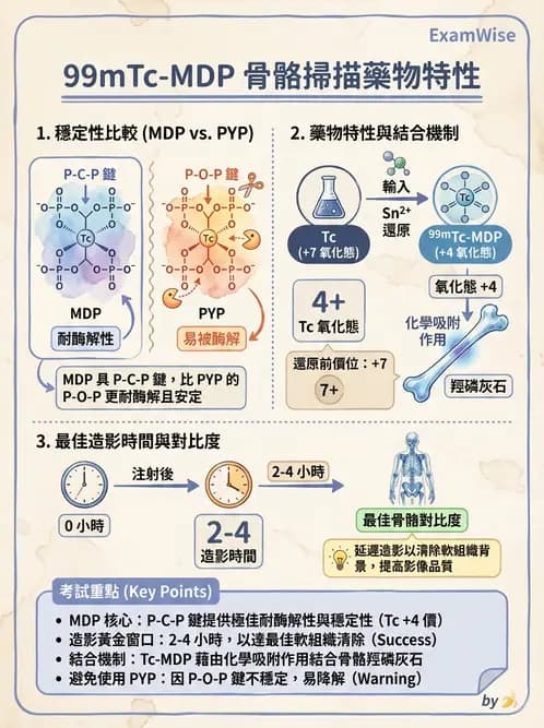 放射 - 骨骼與發炎造影SPECT藥物 - AI 圖文解析預覽