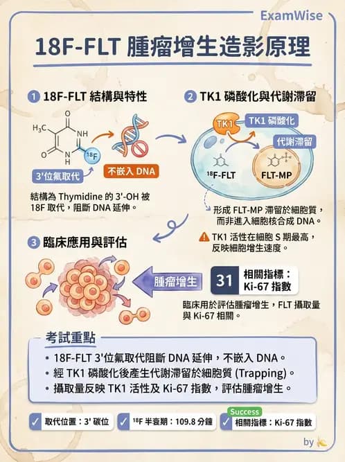 放射 - 腫瘤PET藥物 - AI 圖文解析預覽