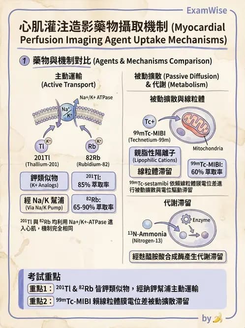 放射 - 心肌造影SPECT藥物 - AI 圖文解析預覽