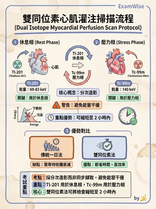 放射 - 心臟灌注造影 - AI 圖文解析預覽