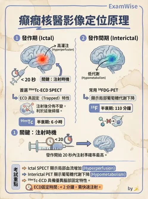 放射 - 腦部造影 - AI 圖文解析預覽
