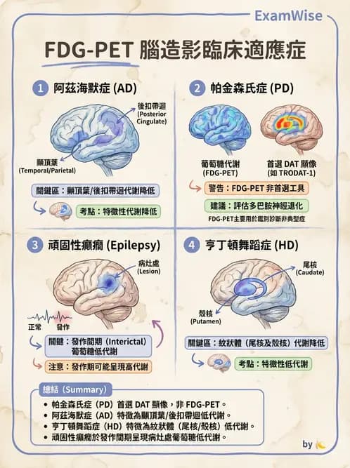 放射 - 腦部造影 - AI 圖文解析預覽