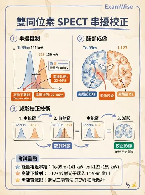 放射 - SPECT造影原理與重組 - AI 圖文解析預覽
