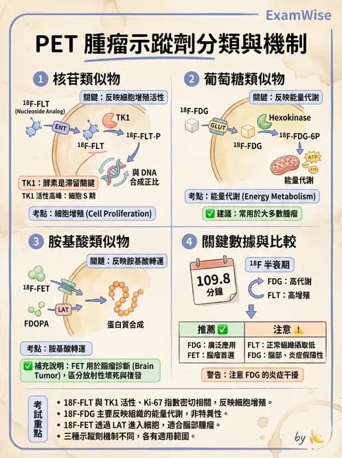 放射 - 腫瘤PET藥物 - AI 圖文解析預覽