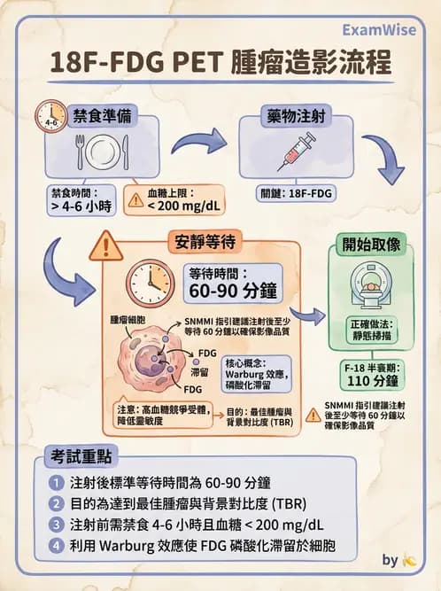 放射 - FDG PET造影 - AI 圖文解析預覽