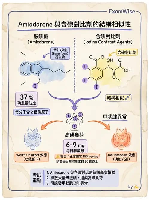 放射 - 甲狀腺造影 - AI 圖文解析預覽