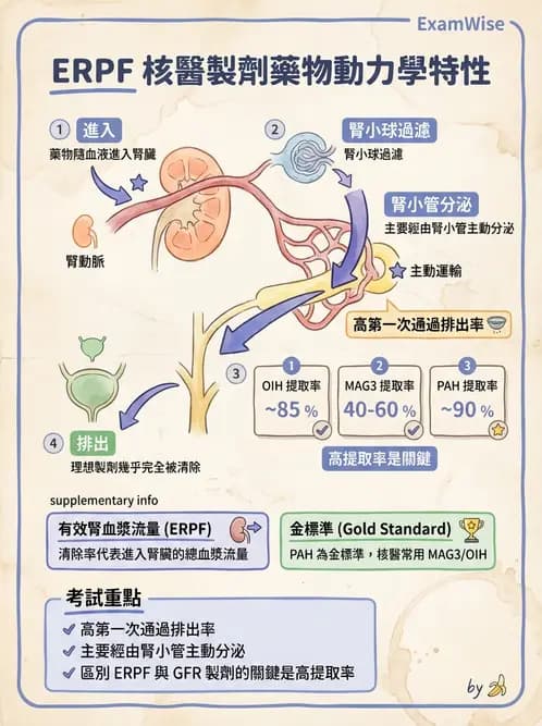 放射 - 腎臟造影SPECT藥物 - AI 圖文解析預覽