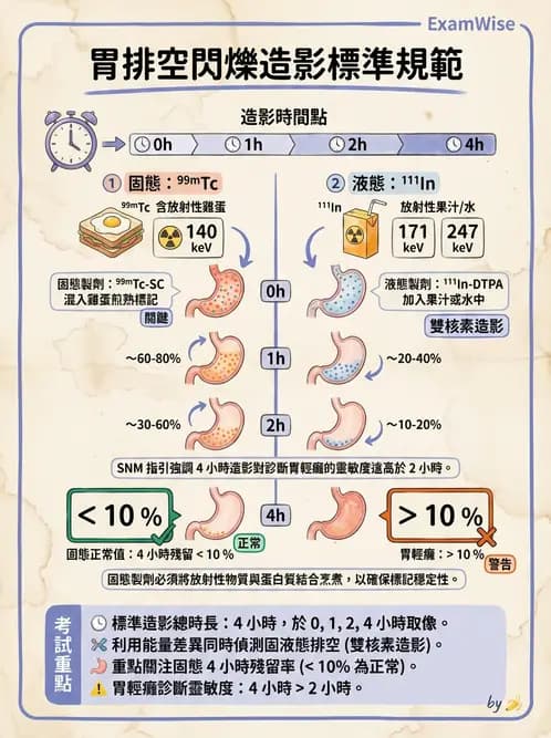 放射 - 消化道造影 - AI 圖文解析預覽