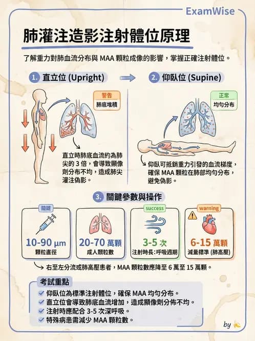 放射 - 肺部與感染造影 - AI 圖文解析預覽