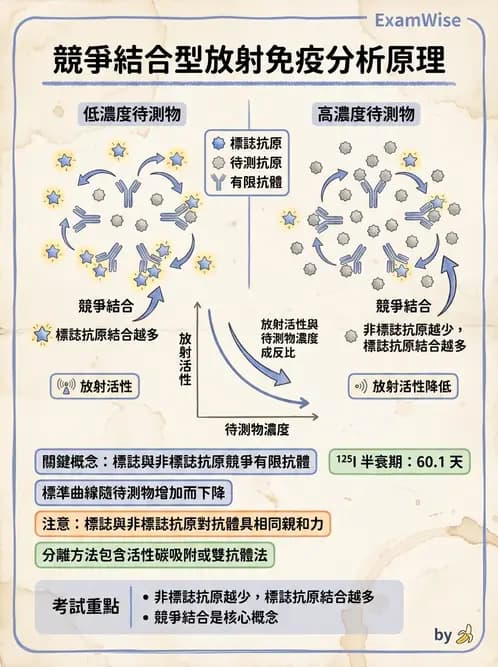 放射 - RIA與IRMA分析原理 - AI 圖文解析預覽