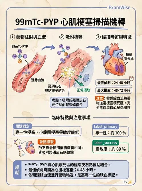 放射 - 心肌造影SPECT藥物 - AI 圖文解析預覽