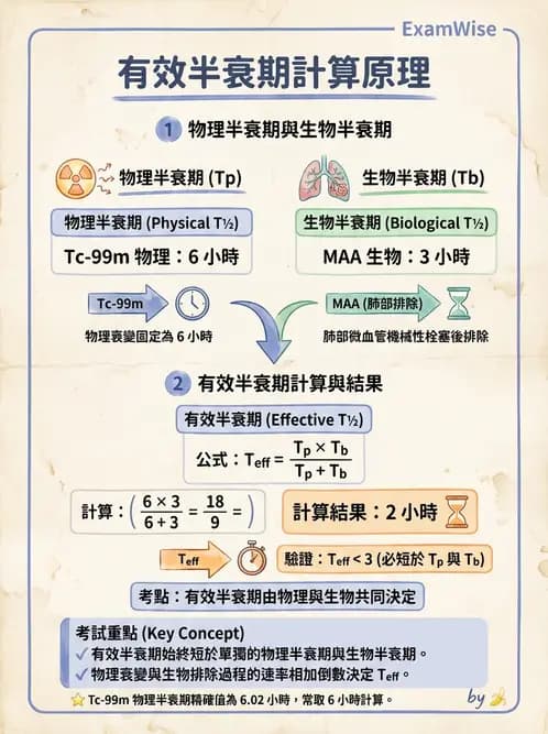 放射 - 蛻變類型與計算 - AI 圖文解析預覽