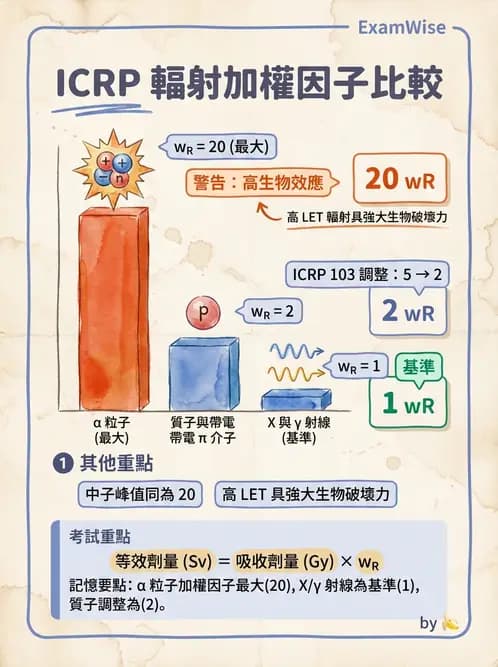 放射 - 輻射安全與保健物理 - AI 圖文解析預覽