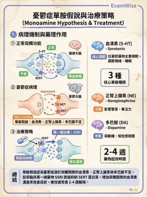 放射 - 神經生理 - AI 圖文解析預覽