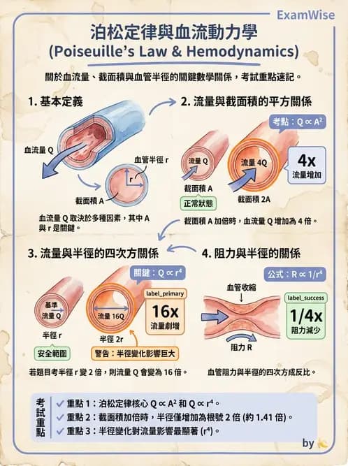 放射 - 心血管生理 - AI 圖文解析預覽