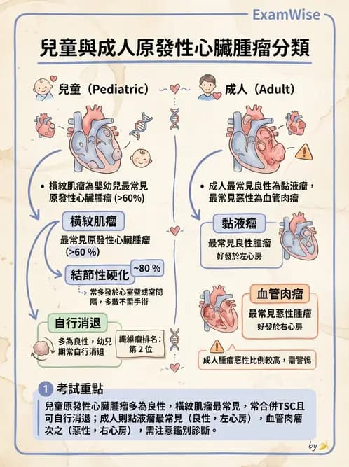 放射 - 心臟及血管疾病 - AI 圖文解析預覽