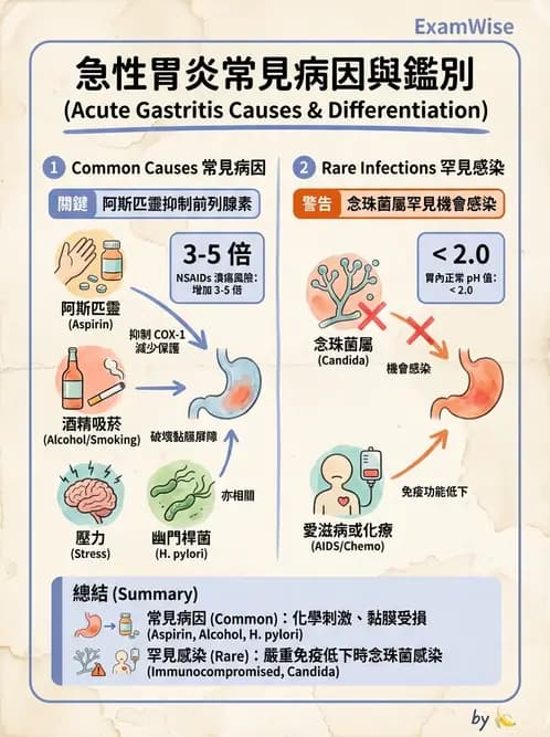放射 - 口腔及腸胃道疾病 - AI 圖文解析預覽