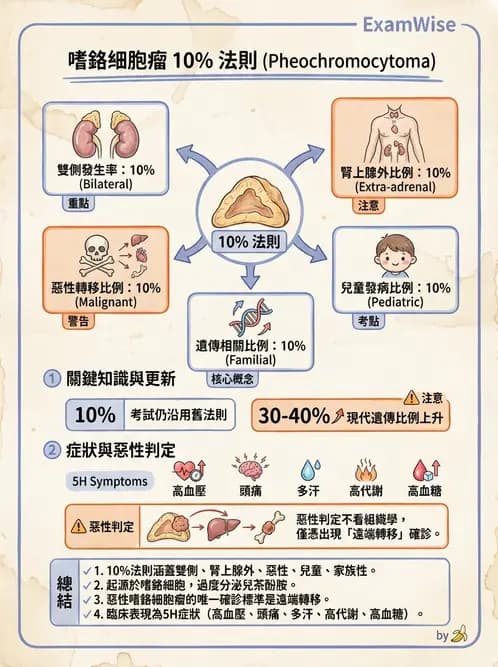 放射 - 內分泌系統疾病 - AI 圖文解析預覽