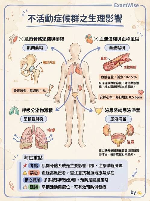 護理師 - 體位擺位與安全照護 - AI 圖文解析預覽