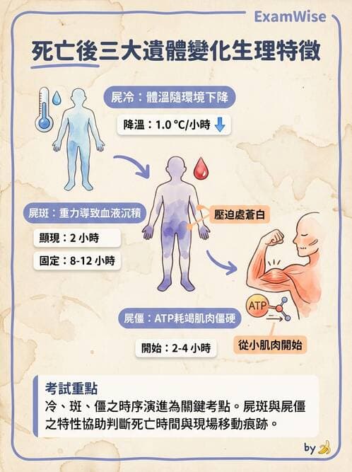 護理師 - 臨終與哀傷護理 - AI 圖文解析預覽