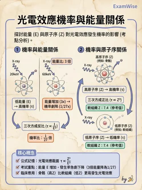 放射 - 光子作用機制 - AI 圖文解析預覽