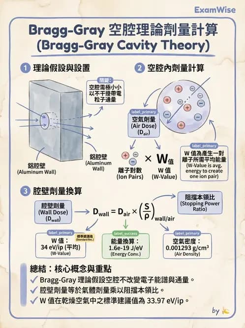 放射 - 劑量計 - AI 圖文解析預覽