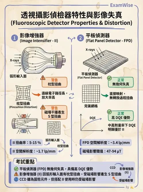 放射 - 透視與數位影像 - AI 圖文解析預覽