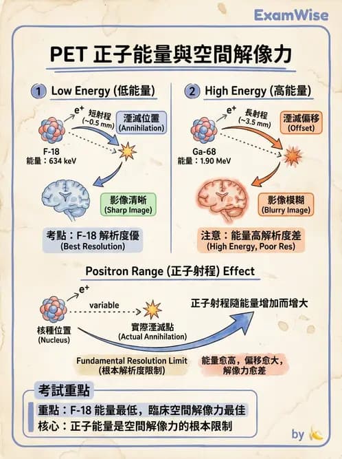 放射 - 核子醫學物理 - AI 圖文解析預覽