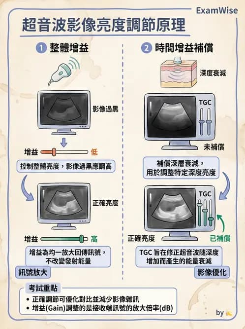 放射 - 超音波成像與都卜勒 - AI 圖文解析預覽