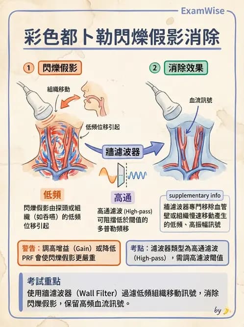 放射 - 超音波成像與都卜勒 - AI 圖文解析預覽