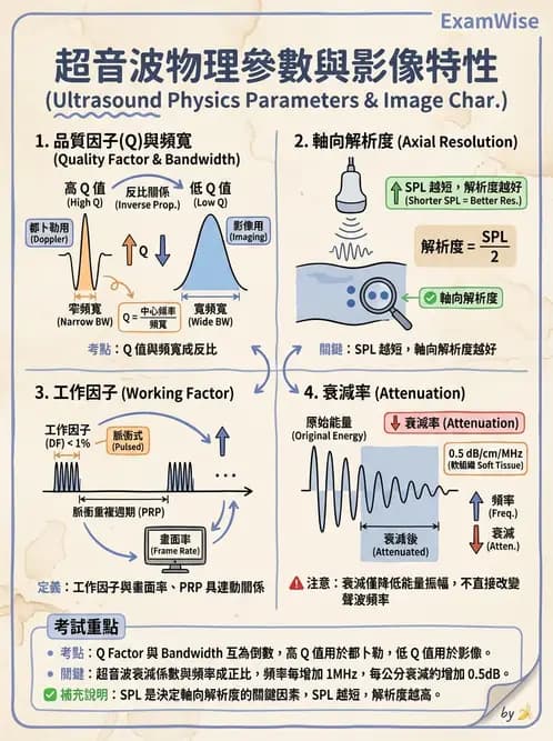 放射 - 超音波物理與換能器 - AI 圖文解析預覽