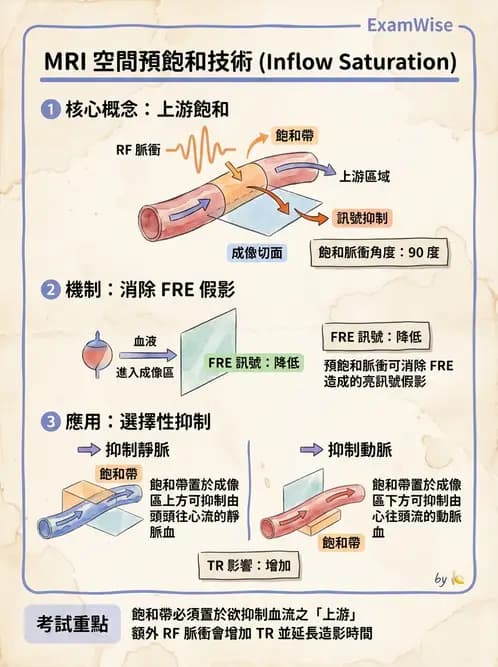 放射 - 脈衝序列與影像對比 - AI 圖文解析預覽
