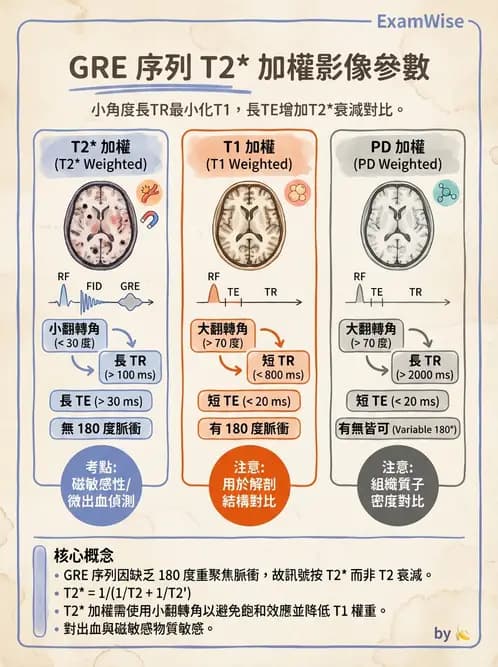 放射 - 脈衝序列與影像對比 - AI 圖文解析預覽