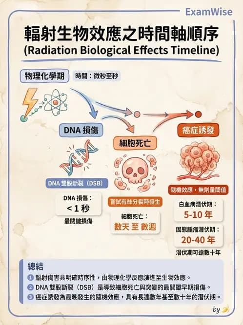 放射 - DNA損傷修復與細胞效應 - AI 圖文解析預覽