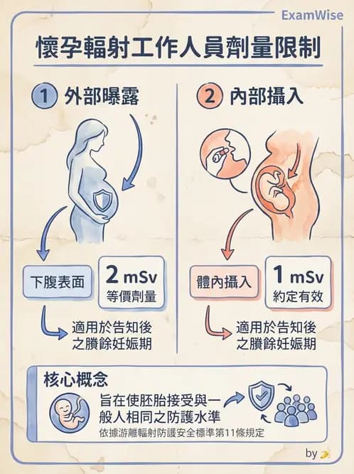 放射 - 劑量標準與防護原則 - AI 圖文解析預覽