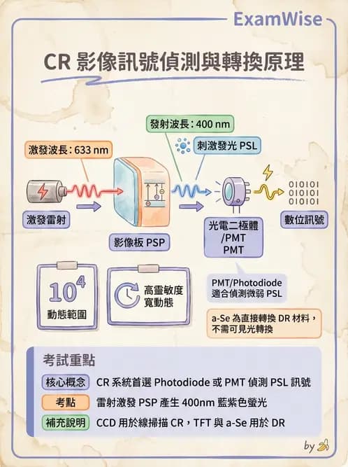 放射 - 電腦放射攝影(CR)原理與應用 - AI 圖文解析預覽