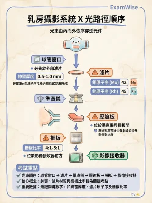 放射 - 乳房攝影裝置與影像品質 - AI 圖文解析預覽