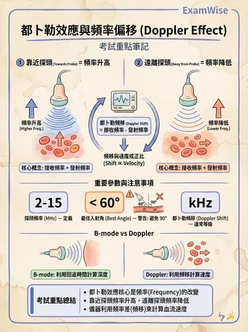 放射 - 都普勒超音波 - AI 圖文解析預覽
