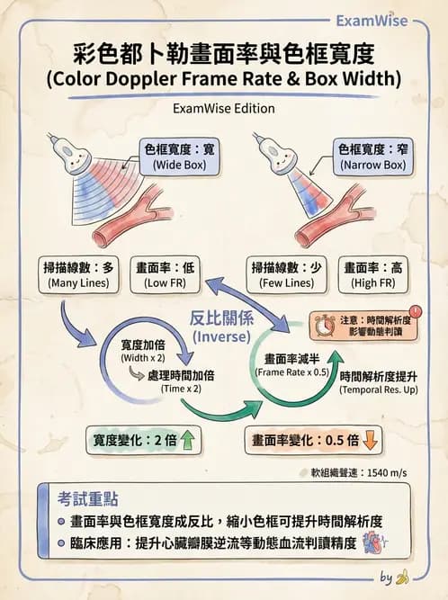 放射 - 都普勒超音波 - AI 圖文解析預覽