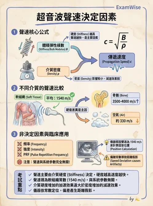放射 - 超音波物理與系統原理 - AI 圖文解析預覽