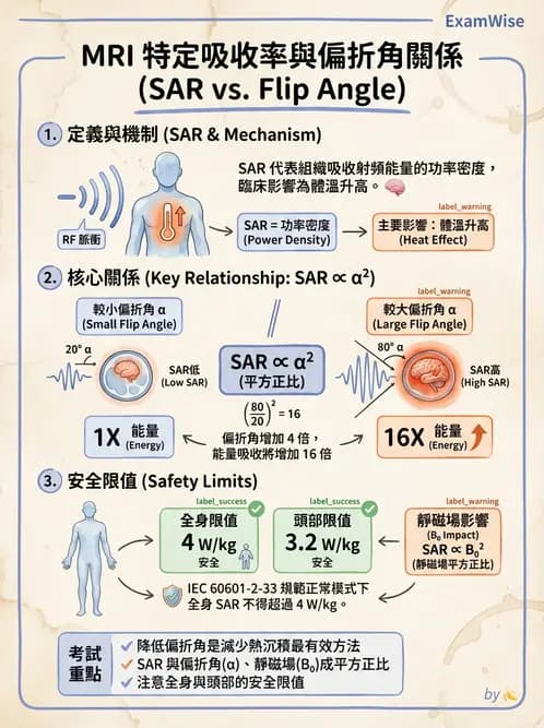 放射 - 射頻系統與線圈 - AI 圖文解析預覽