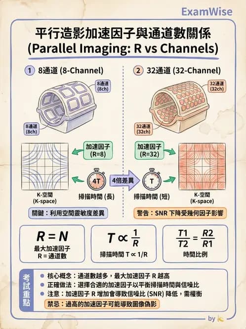 放射 - 射頻系統與線圈 - AI 圖文解析預覽