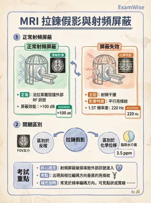 放射 - 磁場與射頻屏蔽 - AI 圖文解析預覽