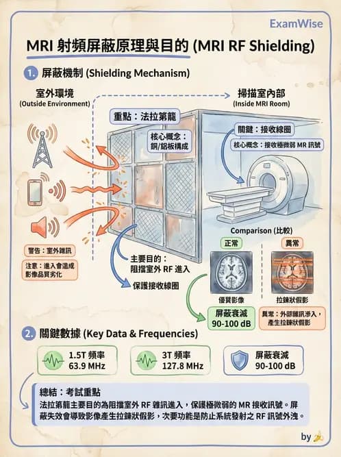 放射 - 磁場與射頻屏蔽 - AI 圖文解析預覽
