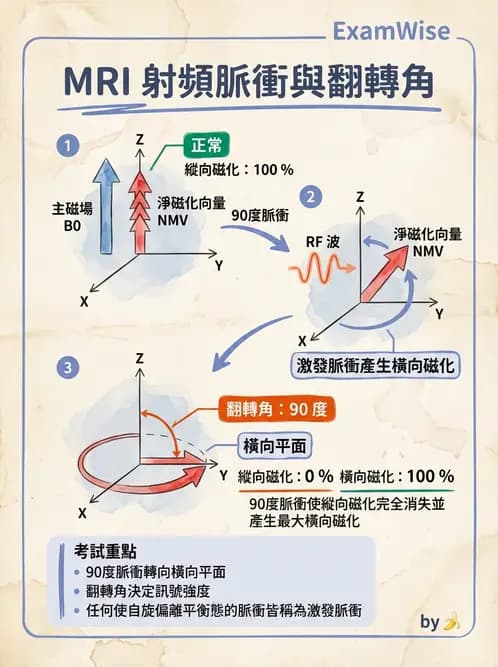 放射 - 射頻系統與線圈 - AI 圖文解析預覽