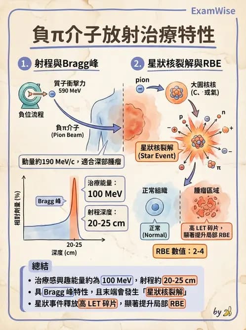 放射 - 質子及中子治療機 - AI 圖文解析預覽