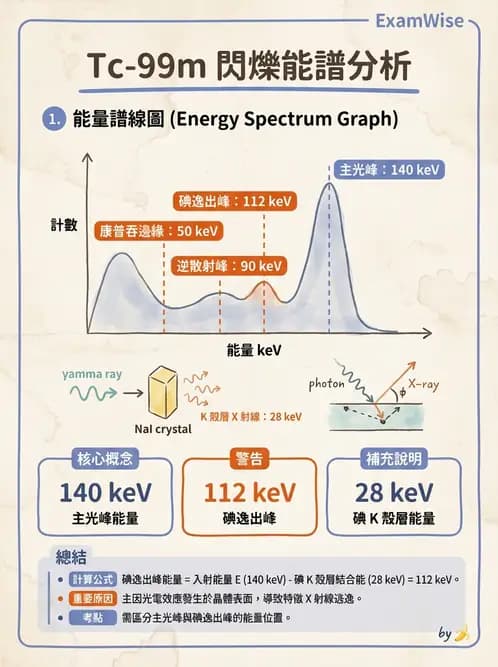 平面影像 - 影像儀器設備 - AI 圖文解析預覽