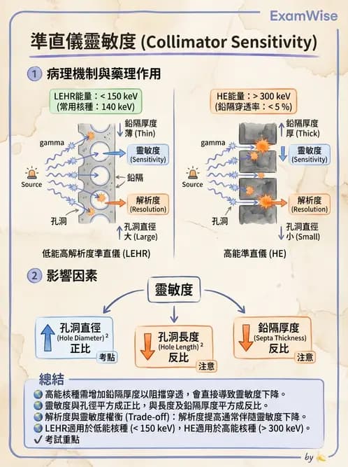 平面影像 - 影像儀器設備 - AI 圖文解析預覽